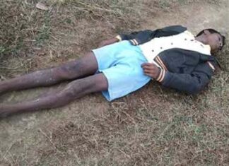 नक्षल्यांनी केली ३० वर्षीय इसमाची हत्या