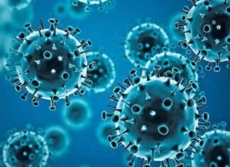 धक्कादायक : राज्यात गेल्या २४ तासात ९ हजार कोरोना बाधितांची नोंद