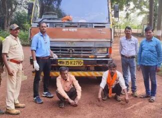 गडचिरोली : ट्रकच्या धडकेत चितळ जागीच ठार, ट्रकचालक ताब्यात