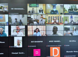 जिल्हा व्याघ्र कक्षाच्या बैठका नियमित घ्याव्यात : मुख्यमंत्री उद्धव ठाकरे यांच्या प्रशासनाला निर्देश