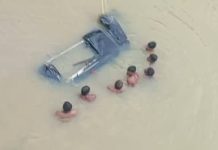 भीषण अपघात : भरधाव कार ५० फुट खोल नदीपात्रात कोसळली