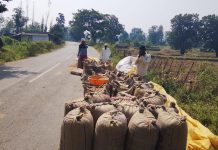 धान मळणीनंतर १५ दिवस उलटले, तरी खरेदी केंद्र सुरू नाही