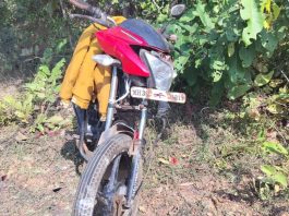 धानोरा : चालत्या दुचाकीवर नियंत्रण सुटून भीषण अपघात, दोन जण जखमी