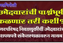 गडचिरोली : ‘उमेदवारांची पार्श्वभूमी कळणार तरी कशी?’ नगरपरिषद निवडणुकीची उमेदवारांची शपथपत्रे संकेतस्थळावरून गायब