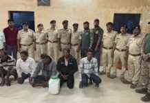 मांडूळ सापाची तस्करी करणाऱ्यांच्या आवळल्या मुसक्या : पाच आरोपी अटकेत