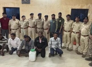 मांडूळ सापाची तस्करी करणाऱ्यांच्या आवळल्या मुसक्या : पाच आरोपी अटकेत