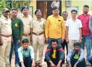 चामोर्शी : चितळाची शिकार प्रकरणी चौघांना अटक, मांस व कातडे जप्त