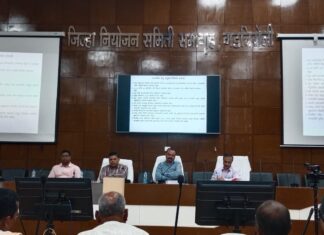 गडचिरोली : २५०० कोटींची गुंतवणूक, पर्यावरणासह विकासाचा दावा