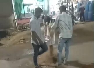 कुरखेडा : रुग्णालयासमोर जीवघेणे खड्डे, दोन युवकांनी घेतली जबाबदारी, व्हिडिओ व्हायरल