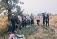 कुरखेडा : मका पिकात दबा धरून बसलेल्या बिबट्याचा अचानक हल्ला, दोन युवक जखमी