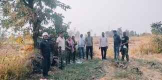 कुरखेडा : मका पिकात दबा धरून बसलेल्या बिबट्याचा अचानक हल्ला, दोन युवक जखमी