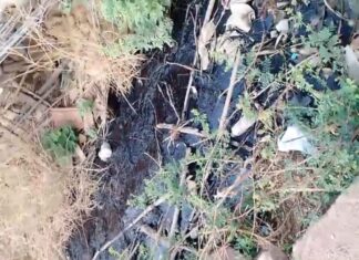 नाल्या कचरा आणि गाळाने तुडुंब : पावसाळापूर्वी धानोरा शहरात तातडीने स्वच्छता मोहीम राबवा