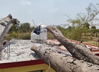 रांगी गटसाधन केंद्रावर चिंचेचे झाड कोसळले ; पाण्याची टाकी जळून नुकसान