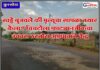 कुरखेडा : खड्डे बुजवले की मृत्यूचा सापळा तयार केला? चिचटोला फाट्यानजीकचा उंचवटा ठरतोय अपघातांचे केंद्र
