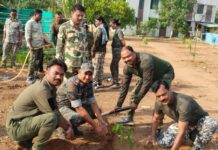 जागतिक पर्यावरण दिनानिमित्त कोरची पोलिसांचा हरित संकल्प ; वृक्षारोपणासह जनजागृती रॅली