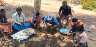 हजारो ‘सीडबॉल’मधून हिरव्या भविष्याची पेरणी; कुरखेडा वनविभागाचा स्तुत्य उपक्रम