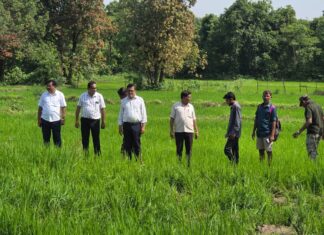 भगवानपूर–वाढोणा परिसरात हत्तींचा धुमाकूळ ; पिकांचे मोठे नुकसान