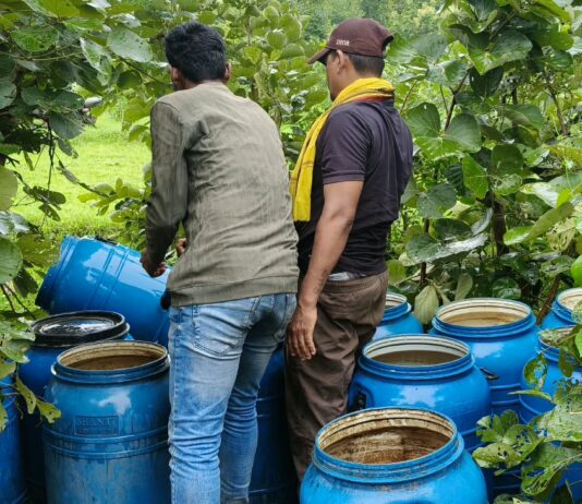 अवैध दारूविरोधात गडचिरोली पोलिसांचा धडाका ; ५.४० लाखांचा मोहफुलाचा सडवा नष्ट
