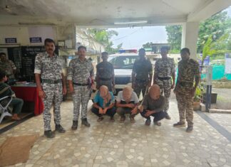 गडचिरोली : मिरची पावडर फेकून दागिने लुटण्याचा डाव फसला, २४ तासांत तिघे जेरबंद