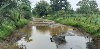 जांभळी–कारवाफा रस्ता खड्ड्यांच्या विळख्यात; वाहनधारकांचा जीवघेणा प्रवास