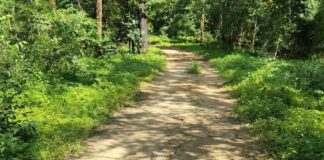 पक्का रस्ता कधी होणार? आंबेझरी–भटमर्यान-दराची ग्रामस्थांचा प्रशासनाला सवाल