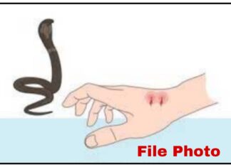 गडचिरोली : आंघोळीसाठी जाताच काळाचा घाला, सर्पदंशाने एसआरपीएफ जवानाचा मृत्यू