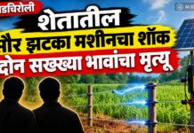गडचिरोली : शेतातील सौर झटका मशीनचा शॉक, दोन सख्ख्या भावांचा मृत्यू