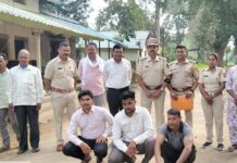 धानोरा : अवैध सागवान तस्करीप्रकरणी तिघांना अटक