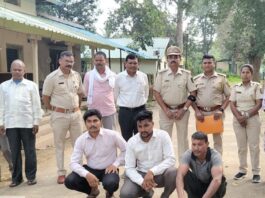 धानोरा : अवैध सागवान तस्करीप्रकरणी तिघांना अटक