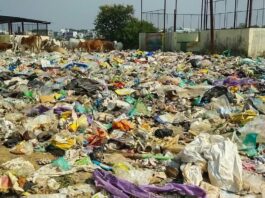 गडचिरोली : नवेगाव मुरखळा कचरा डेपो प्रकरणी जिल्हाधिकारी, जि.प. सीईओंना उच्च न्यायालयाचे निर्देश