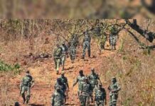 चकमकीत सहा नक्षलवादी ठार, तीन महिला नक्षलींचा समावेश