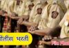 महाराष्ट्र पोलीस दलात तब्बल १५ हजार पदभरती ; ओएमआर पद्धतीने होणार लेखी परीक्षा