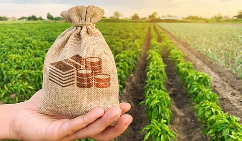 Taxation_of_income_from_agricultural_land_FB_1200x700_compressed