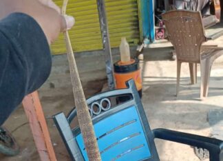 गडचिरोली : वन्यजीवप्रेमीने दिले घोरपडीस जीवनदान