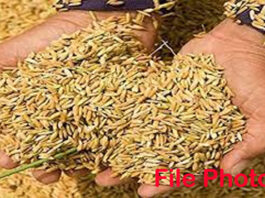 शासनाच्या दिरंगाईमुळे शेतकरी अडचणीत : धान खरेदी केंद्र तात्काळ सुरू करण्याची मागणी