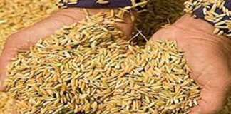 शासनाच्या दिरंगाईमुळे शेतकरी अडचणीत : धान खरेदी केंद्र तात्काळ सुरू करण्याची मागणी