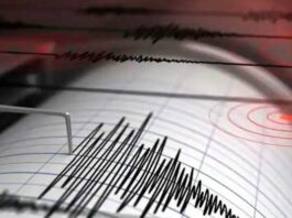 अहेरी परिसर हादरला! मध्यरात्री भूकंपाचे सौम्य धक्के