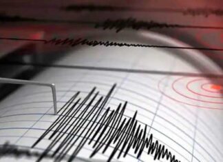 अहेरी परिसर हादरला! मध्यरात्री भूकंपाचे सौम्य धक्के