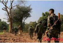 चकमकीत २ महिलांसह ३ नक्षली ठार