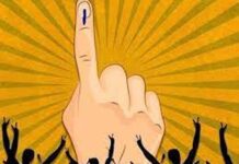 अपील प्रलंबित ; गडचिरोली व आरमोरीतील चार नगरपरिषद सदस्य निवडणुका स्थगित