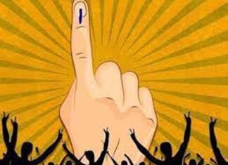 अपील प्रलंबित ; गडचिरोली व आरमोरीतील चार नगरपरिषद सदस्य निवडणुका स्थगित