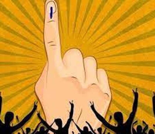 अपील प्रलंबित ; गडचिरोली व आरमोरीतील चार नगरपरिषद सदस्य निवडणुका स्थगित