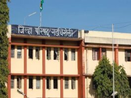 गडचिरोली : जिल्हा परिषदेत अनुकंपा नियुक्तीसाठी २ नोव्हेंबरला समुपदेशन